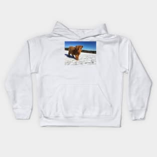 Scottish Highland Cattle Calf 1732 Kids Hoodie